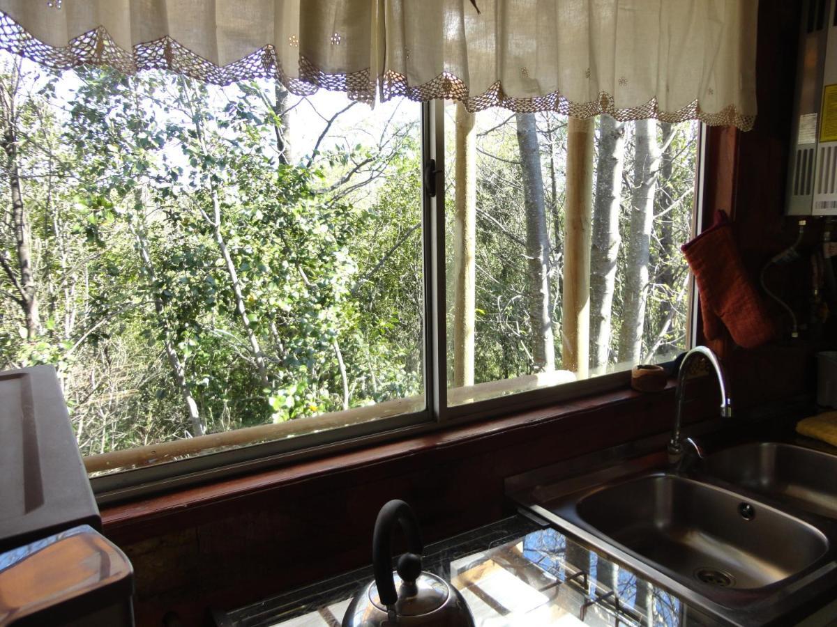 Cabanas Spa Bungalows Huarranchi Pucón Esterno foto